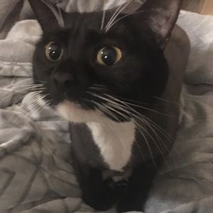 Meet your Posher, Gyeong eun